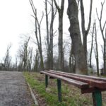 06.03.2020. Opatów. Park w Opatowie / Emilia Sitarska / Radio Kielce