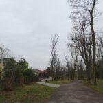 06.03.2020. Opatów. Park w Opatowie / Emilia Sitarska / Radio Kielce