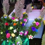 08.03.2020. Ostrowiec Świętokrzyski. Kaziuki Ostrowieckie / Emilia Sitarska / Radio Kielce