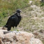 Muzyczne podróże. Kolumbia / Danuta Rasała i Sławomir Skowron