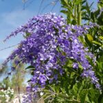 Muzyczne podróże. Kolumbia / Danuta Rasała i Sławomir Skowron