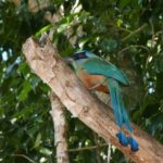 Muzyczne podróże. Kolumbia / Danuta Rasała i Sławomir Skowron