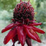 Muzyczne podróże. Kolumbia / Danuta Rasała i Sławomir Skowron