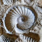 Muzyczne podróże. Kolumbia / Danuta Rasała i Sławomir Skowron