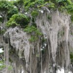 Muzyczne podróże. Kolumbia / Danuta Rasała i Sławomir Skowron