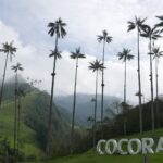 Muzyczne podróże. Kolumbia / Danuta Rasała i Sławomir Skowron