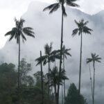 Muzyczne podróże. Kolumbia / Danuta Rasała i Sławomir Skowron