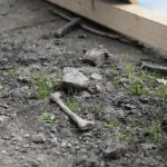 04.03.2020. Wiślica. Modernizacja Muzeum Archeologicznego w Wiślicy / Wiktor Taszłow / Radio Kielce