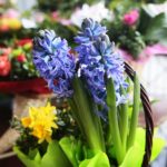 08.03.2020. Kielce. Dzień Kobiet w kwiaciarni / Wiktor Taszłow / Radio Kielce