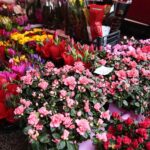 08.03.2020. Kielce. Dzień Kobiet w kwiaciarni / Wiktor Taszłow / Radio Kielce