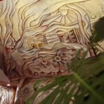 10.03.2020 Kielce. Projekt „Dostrzec Niedostrzeżone” w KCK / Wiktor Taszłow / Radio Kielce