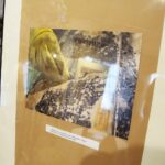 13.03.2020. Kielce. Dworek Laszczyków.  Konferencja prasowa / Wiktor Taszłow / Radio Kielce