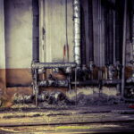 08.04.2018 Kielce. Dawna lokomotywownia na Herbach / Robert Felczak / Radio Kielce