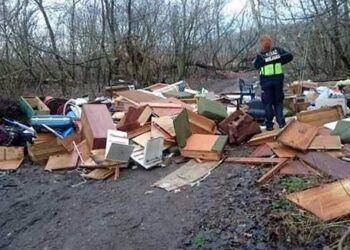 www.strazmiejska.waw.pl