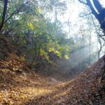 15.03.2020. Sandomierz. Wąwóz Świętej Królowej Jadwigi / Anita Łukawska