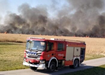 07.04.2020 Nawarzyce. Pożar trzcinowiska / KP PSP Jędrzejów