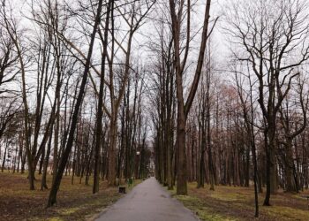 Park im. Małachowskich w Końskich / Magdalena Galas-Klusek / Radio Kielce