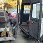 09.04.2020 Sandomierz. Zespół Szkół Centrum Kształcenia Rolniczego w Sandomierzu obdarował miejscowy szpital / Zespół Szkół Centrum Kształcenia Rolniczego w Sandomierzu