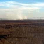 25.04.2020. Pożar w Biebrzańskim Parku Narodowym / Paweł Wądołowski / Radio Białystok