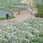 Kielce. Park miejski im. Stanisława Staszica - wizualizacja / UM Kielce