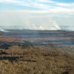 25.04.2020. Pożar w Biebrzańskim Parku Narodowym / Paweł Wądołowski / Radio Białystok