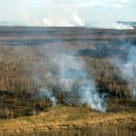 25.04.2020. Pożar w Biebrzańskim Parku Narodowym / Paweł Wądołowski / Radio Białystok