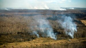 25.04.2020. Pożar w Biebrzańskim Parku Narodowym / Paweł Wądołowski / Radio Białystok