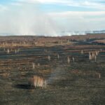 25.04.2020. Pożar w Biebrzańskim Parku Narodowym / Paweł Wądołowski / Radio Białystok