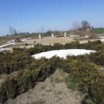 12.04.2020 Gorzków. Ogród biblijny / Agnieszka Kula-Kielian - kierownik placówki Caritas w Gorzkowie