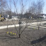 12.04.2020 Gorzków. Ogród biblijny / Agnieszka Kula-Kielian - kierownik placówki Caritas w Gorzkowie