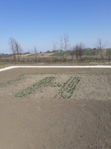 12.04.2020 Gorzków. Ogród biblijny / Agnieszka Kula-Kielian - kierownik placówki Caritas w Gorzkowie