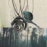 Oficyn Wydawnicz STON 2