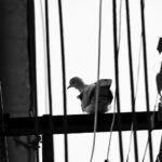 02.04.2020. Końskie. Rozstrzygnięcie minikonkursu fotograficznego „Świat za oknem”. Bartłomiej Zieliński 17 lat - I miejsce w kategorii młodzież / mat. organizatora