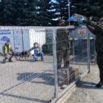 11.04.2020 Sandomierz. Żołnierze WOT wsparli schronisko dla psów / mat. prasowe