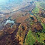 01.04.2020. Ponidzie. Delta Nidy / Archiwum Zespołu Świętokrzyskich i Nadnidziańskich Parków Krajobrazowych