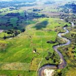 01.04.2020. Ponidzie. Delta Nidy / Archiwum Zespołu Świętokrzyskich i Nadnidziańskich Parków Krajobrazowych