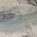 24.04.2020. Doły Biskupie. Zanieczyszczenie w Świślinie / Maria Pająk