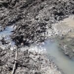 24.04.2020. Doły Biskupie. Zanieczyszczenie w Świślinie / Maria Pająk