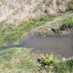 24.04.2020. Doły Biskupie. Zanieczyszczenie w Świślinie / Maria Pająk