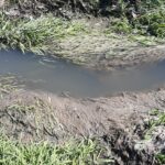 24.04.2020. Doły Biskupie. Zanieczyszczenie w Świślinie / Maria Pająk