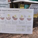 24.04.2020 Nadleśnictwa rozdają sadzonki drzew / Magda Galas-Klusek / Radio Kielce