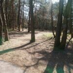 04.04.2020. Kielce. Stadion leśny / Karol Żak / Radio Kielce