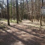 04.04.2020. Kielce. Stadion leśny / Karol Żak / Radio Kielce