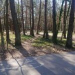 04.04.2020. Kielce. Stadion leśny / Karol Żak / Radio Kielce