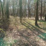 04.04.2020. Kielce. Stadion leśny / Karol Żak / Radio Kielce