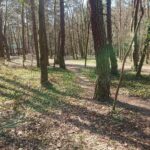 04.04.2020. Kielce. Stadion leśny / Karol Żak / Radio Kielce