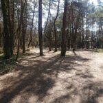 04.04.2020. Kielce. Stadion leśny / Karol Żak / Radio Kielce