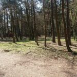 04.04.2020. Kielce. Stadion leśny / Karol Żak / Radio Kielce