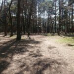 04.04.2020. Kielce. Stadion leśny / Karol Żak / Radio Kielce