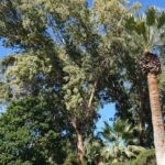 Muzyczne podróże. Ziemia Święta. Góra Błogosławieństw / Kamil Król